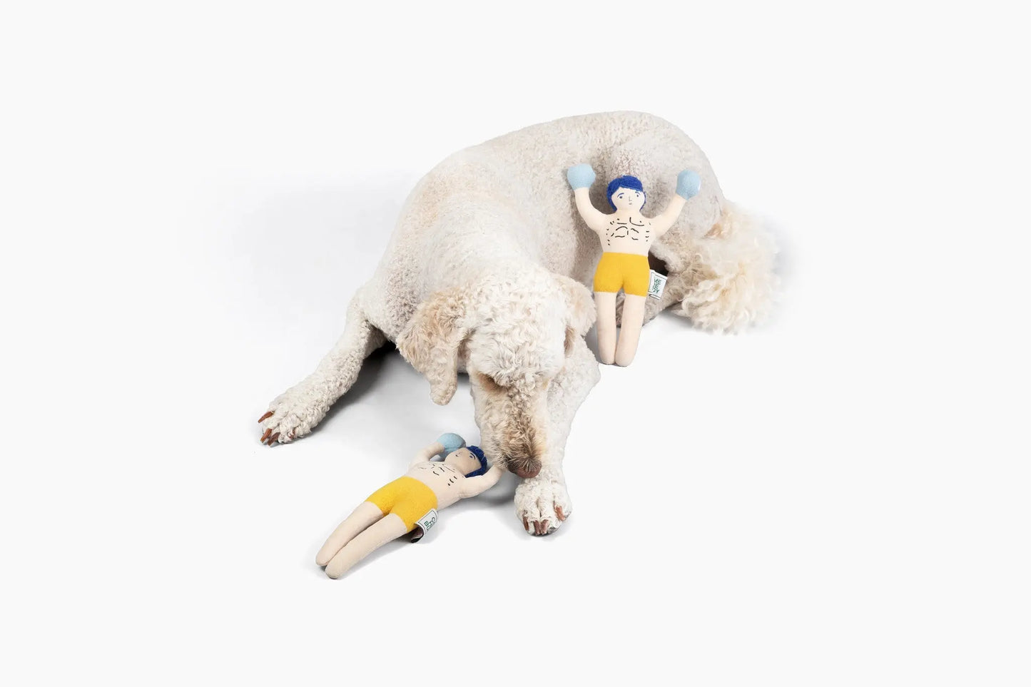 Champ Rocky Nose Work Dog Toy / Enrichment Toy - K9 Outdoors