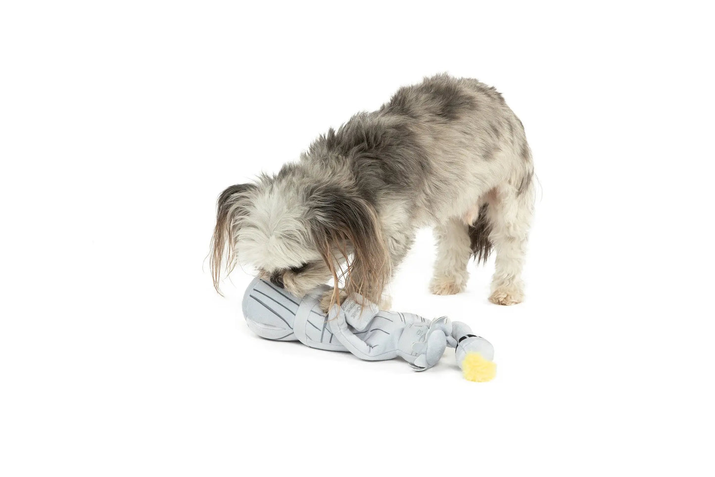 Liberty Nose Work Dog Toy - K9 Outdoors