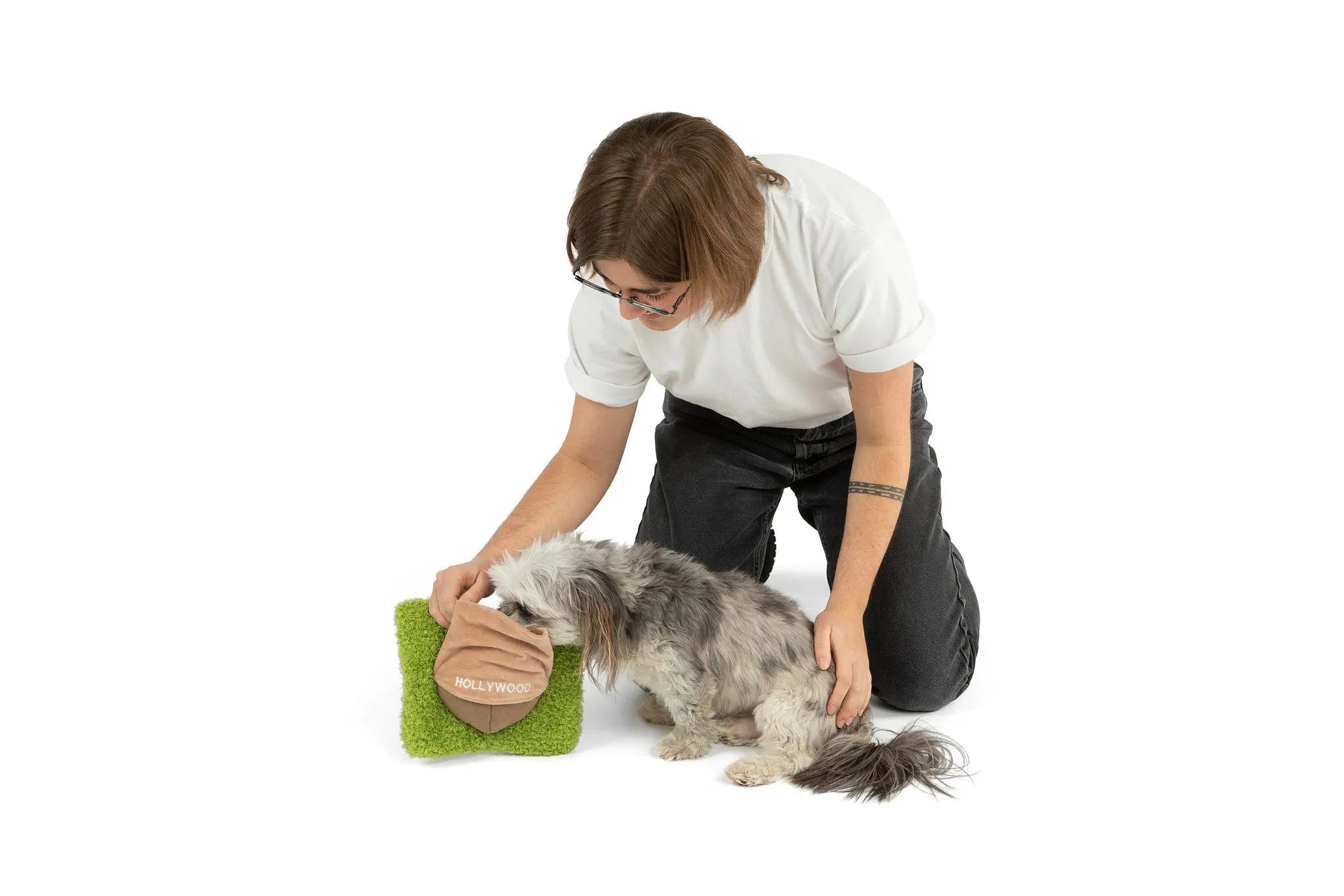 Hollywoof Nose Work Dog Toy - K9 Outdoors