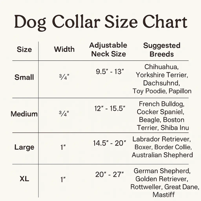 Taro Tango Biothane Collar Le Gray Haus