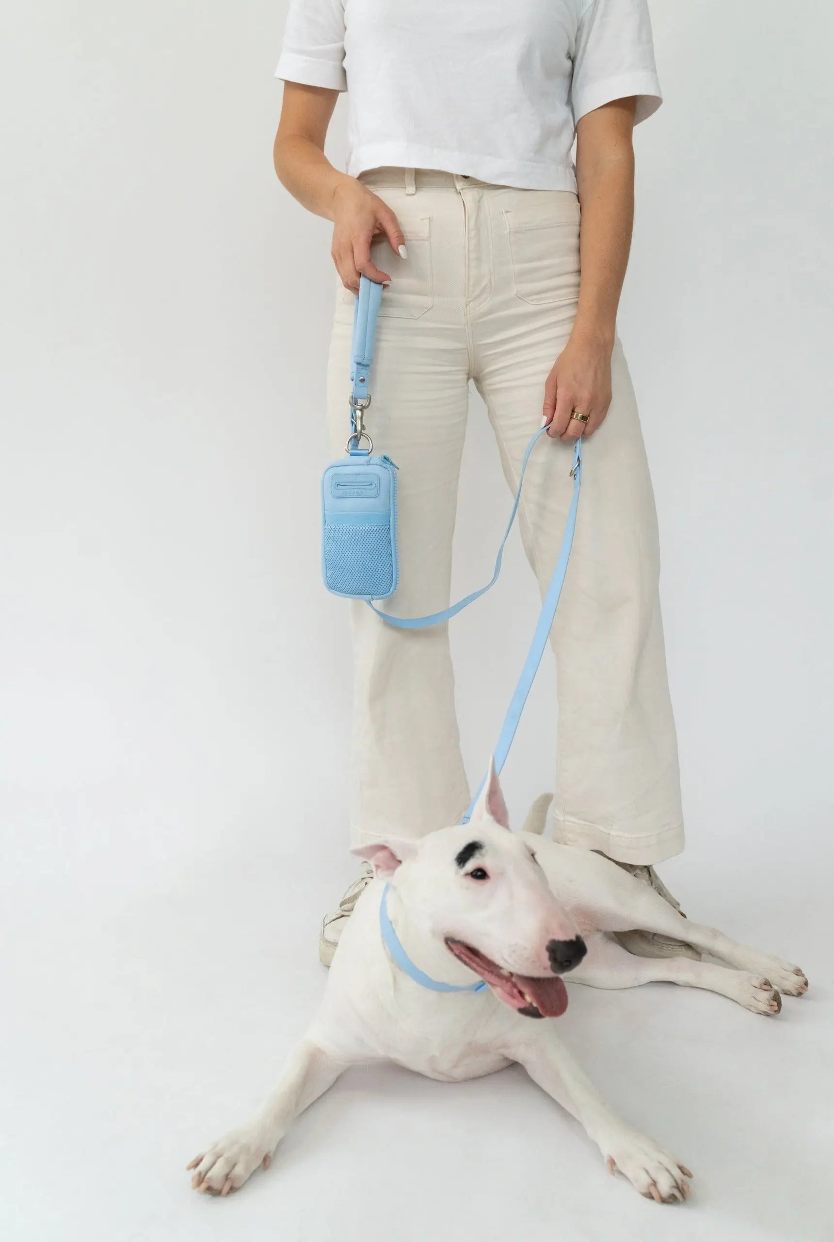 Neoprene Dog Walk Bag with Leash Springland Pets