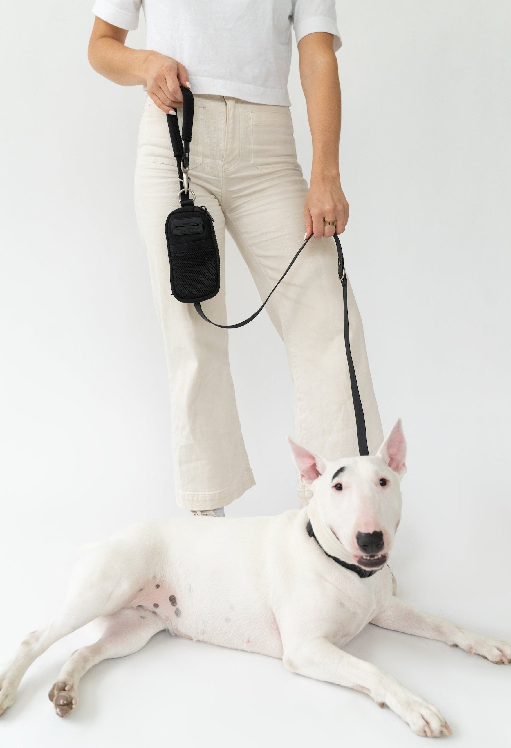 Neoprene Dog Walk Bag with Leash Springland Pets