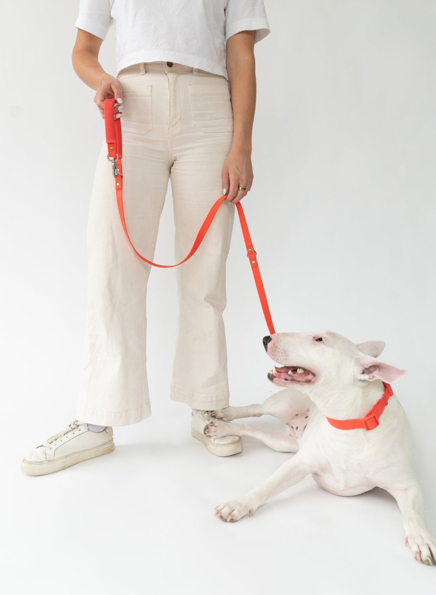 Original Dog Leash with Neoprene Handle Springland Pets