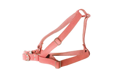 Step In Leather Dog Harness Euro-Dog Collars and Leads