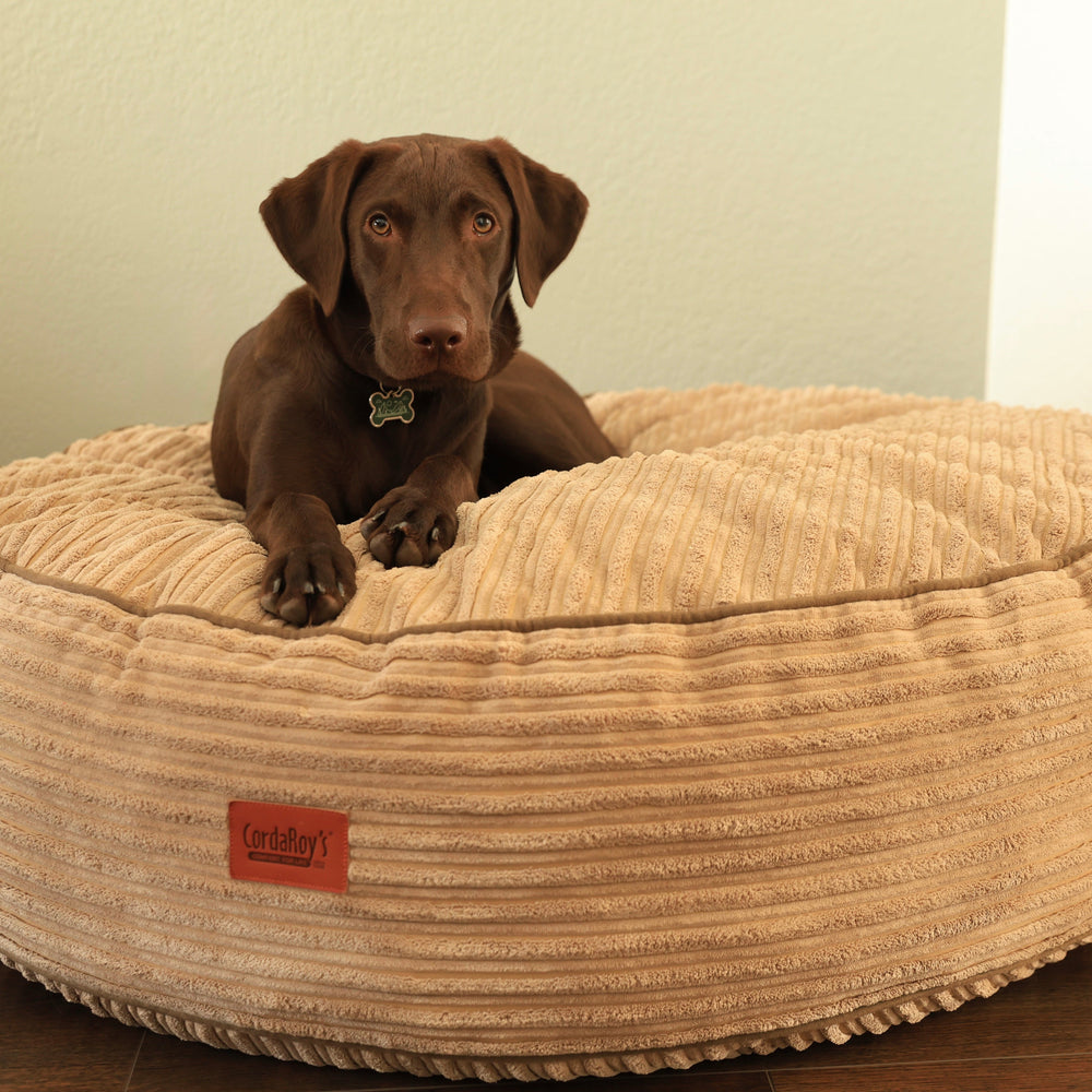 50 Inch Forever Dog Bed (Waterproof) - Terry Corduroy