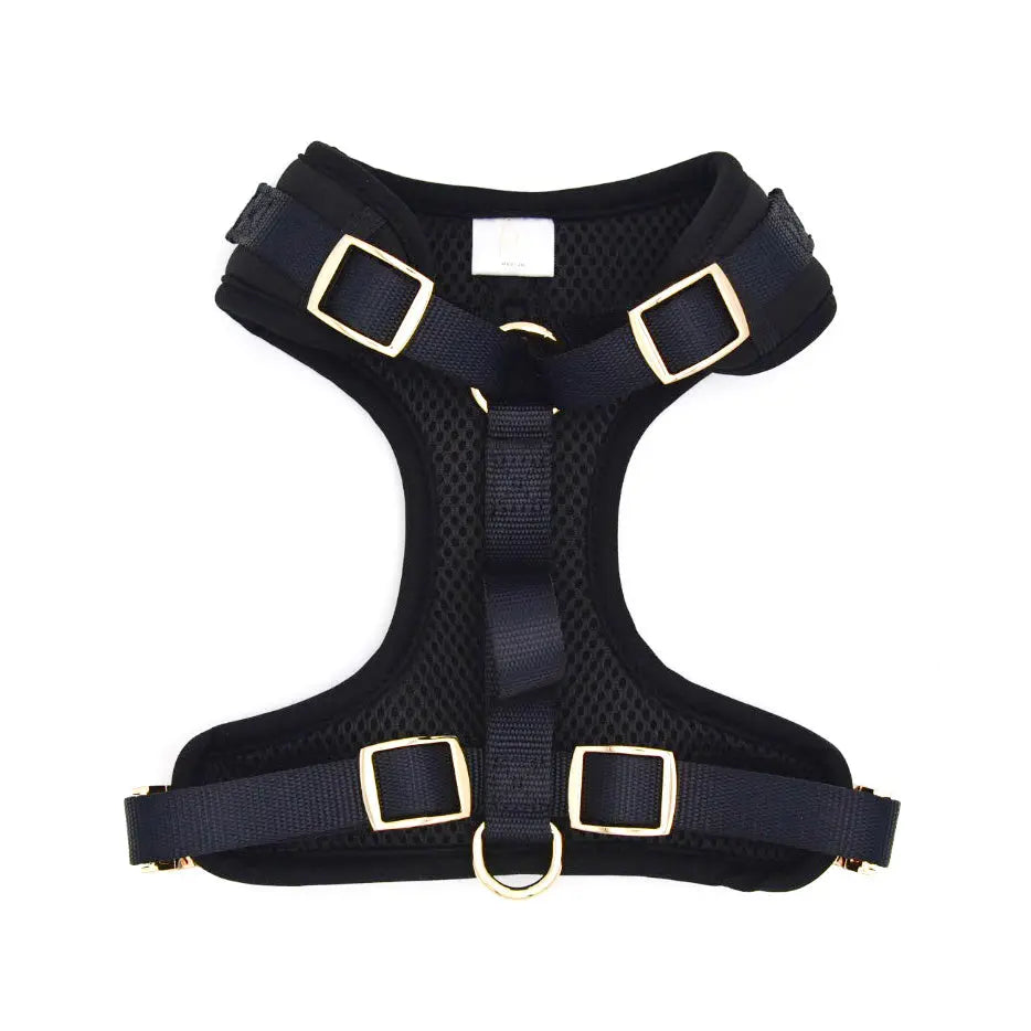 Fur Elise Harness - Noir
