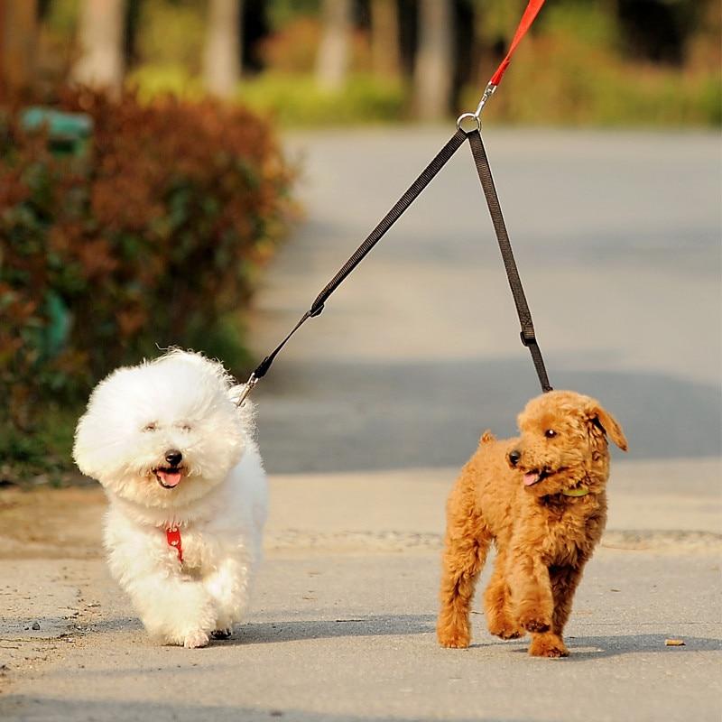 Double Dog Leash