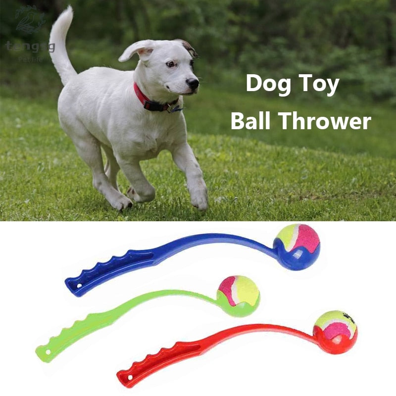 Pet Throwing ToysPet Supplies Outdoor Sports Dog Toy Ball Throwing Ball Launcher Pet Training Interactive Toy Dog Retrieve Toys