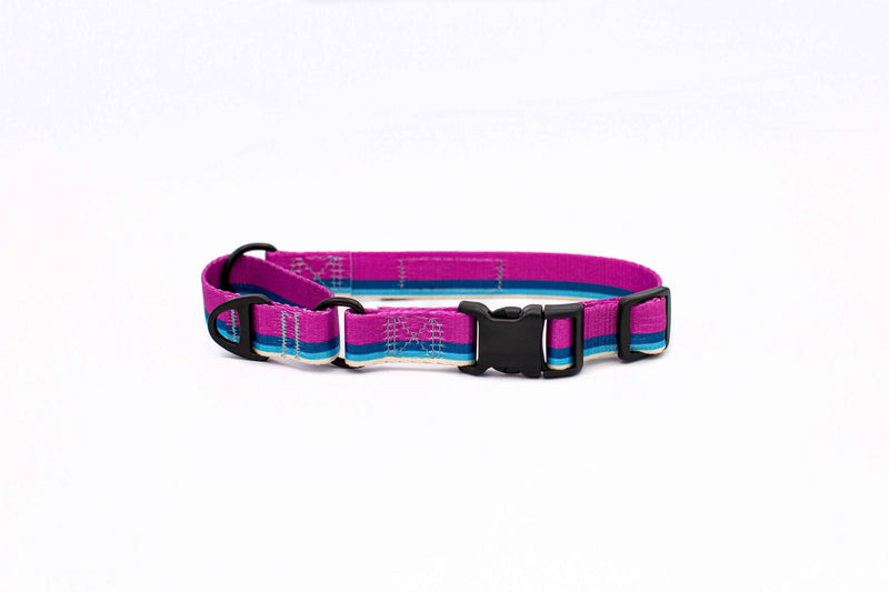 Outdoor Style All Nylon Martingale Collar
