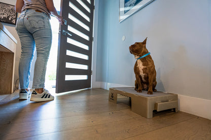 KLIMB Jr Blue-9 Pet Products