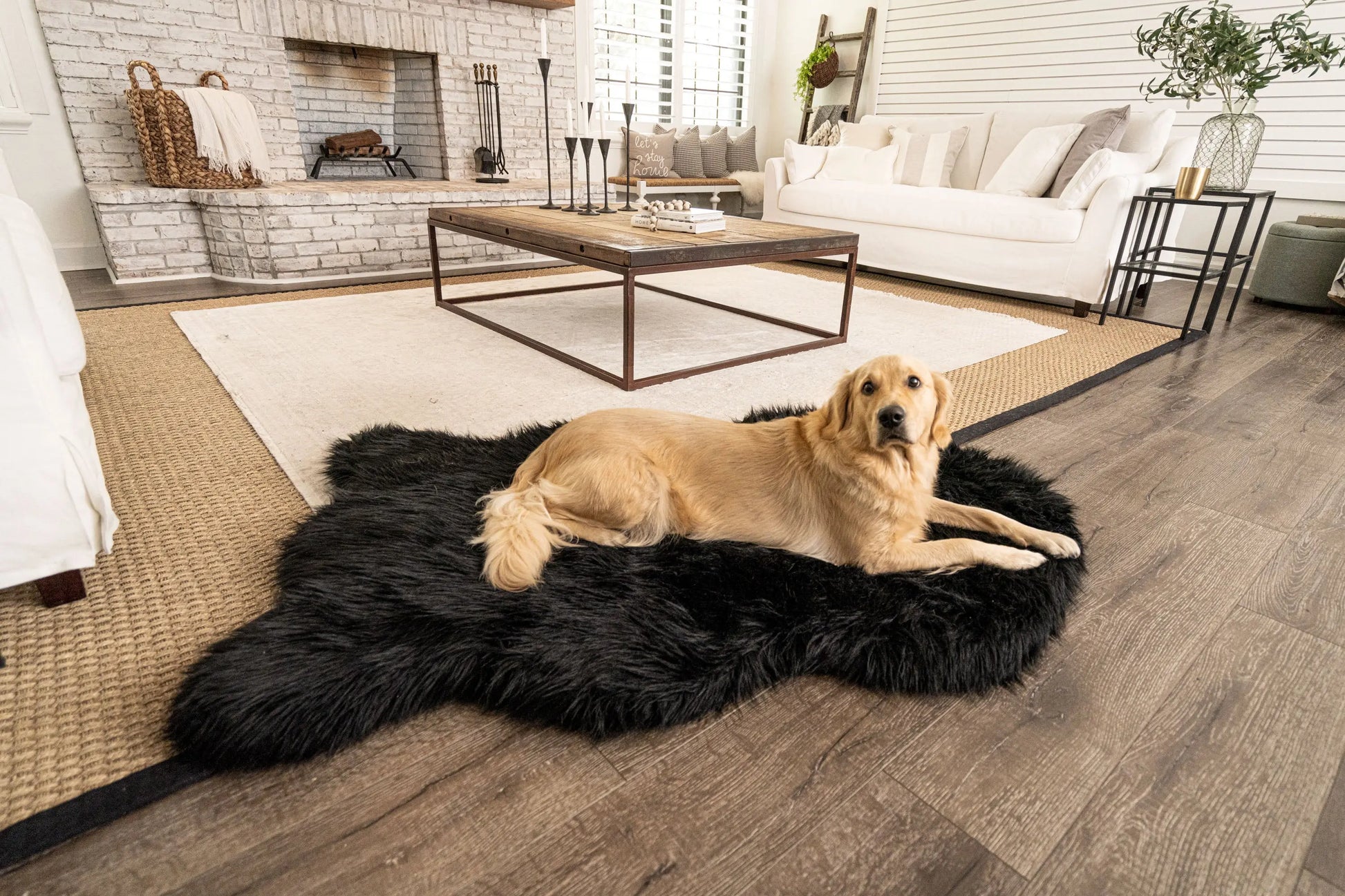 PupRug by Paw.com™  Faux Fur Orthopedic Dog Bed - Curve Midnight Black Paw.com
