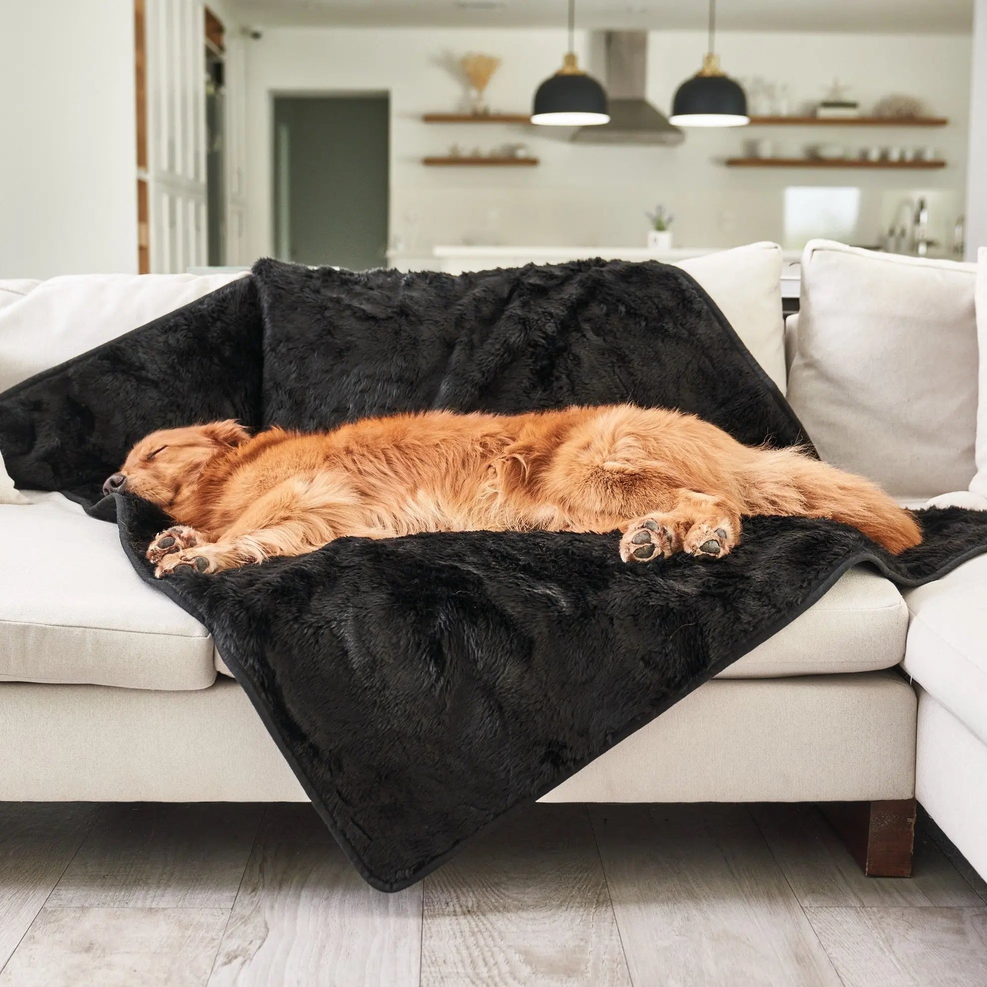 PupProtector™ Summer Short Fur Waterproof Throw Blanket - Midnight Black Paw.com