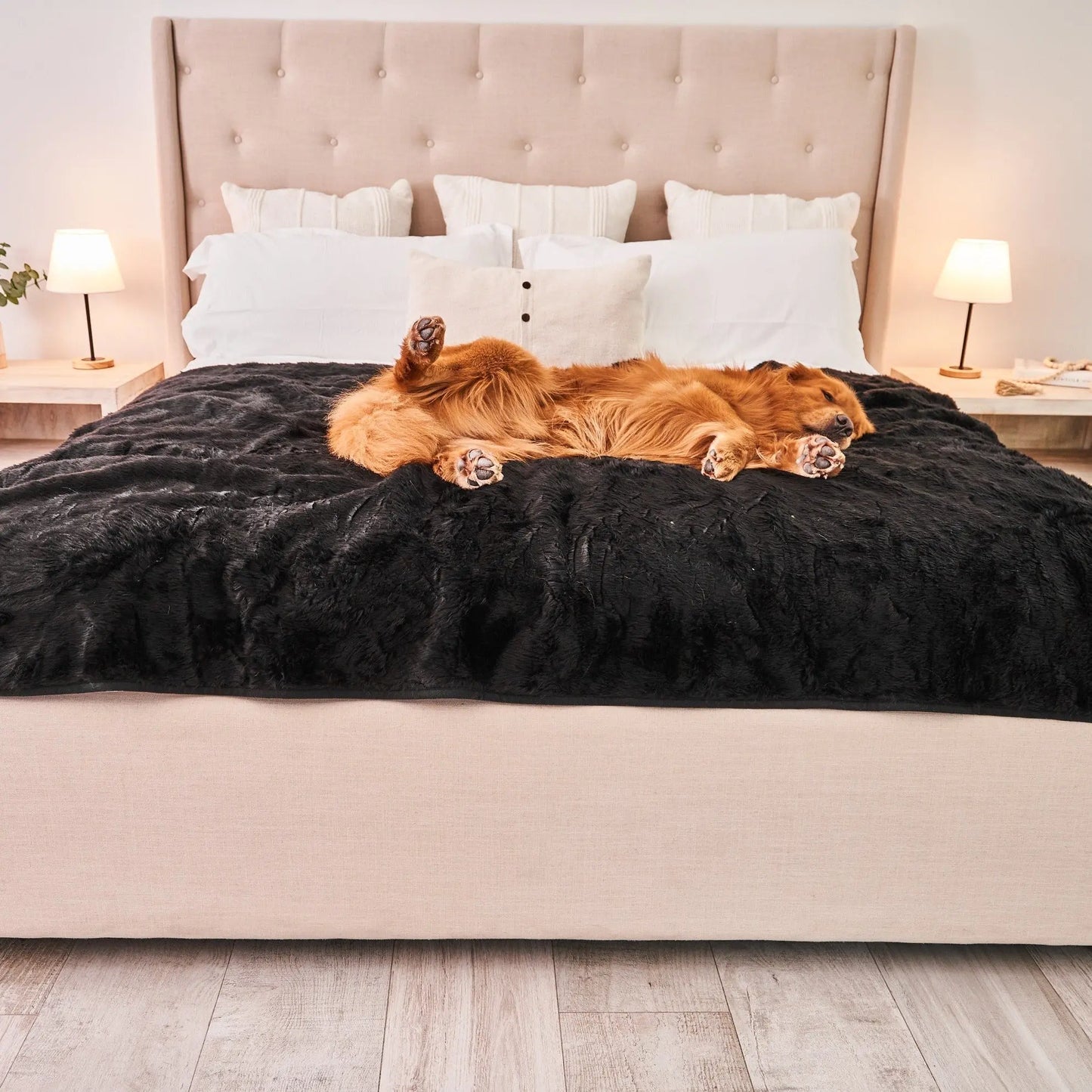 PupProtector™ Summer Short Fur Waterproof Throw Blanket - Midnight Black Paw.com