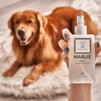Marlie Mist Pet Odor Eliminator Spray with Essential Oils Paw.com