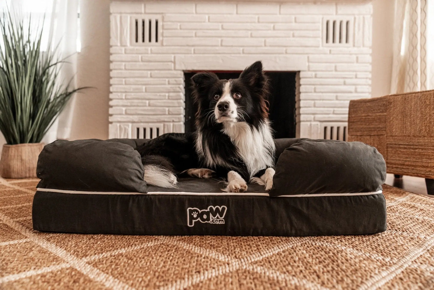 PupLounge™ Memory Foam Dog Bed Cover - Charcoal Grey (Bed Not Included) - Small Paw.com