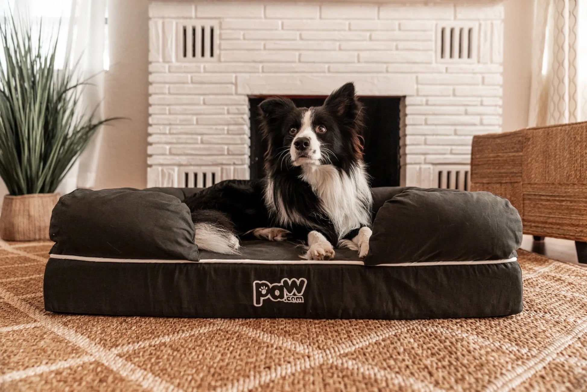 PupLounge™ Memory Foam Dog Bed Cover - Charcoal Grey (Bed Not Included) - Small Paw.com