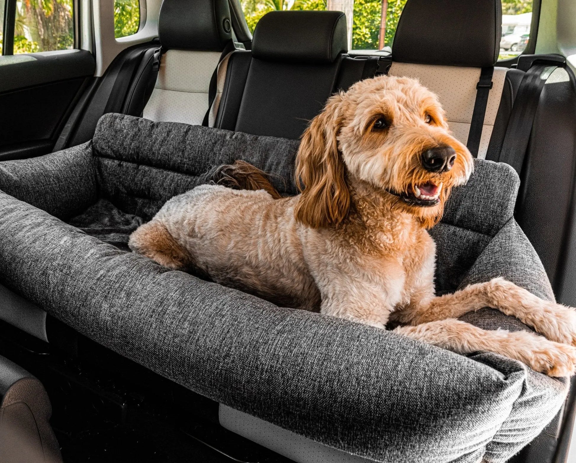 PupProtector™ Memory Foam Dog Car Bed Paw.com