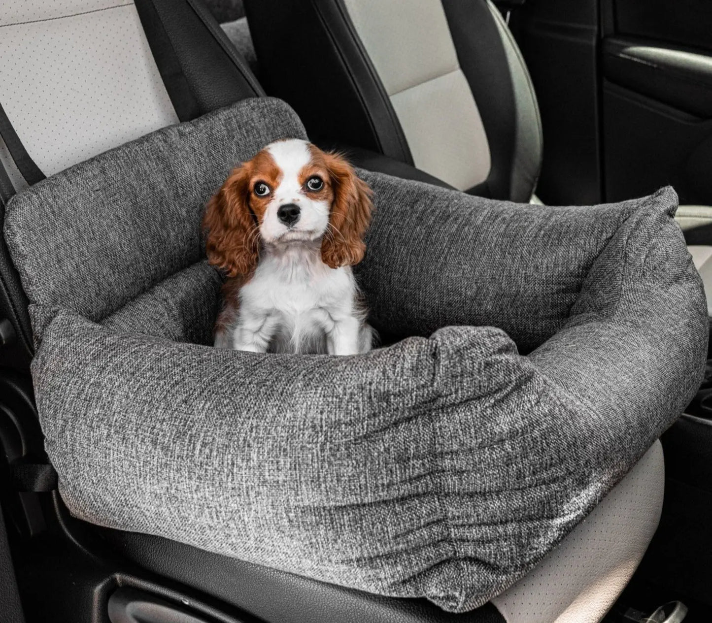 PupProtector™ Memory Foam Dog Car Bed Paw.com