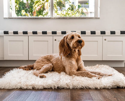 PupRug by Paw.com™ Portable Orthopedic Dog Bed - White with Brown Accents Paw.com