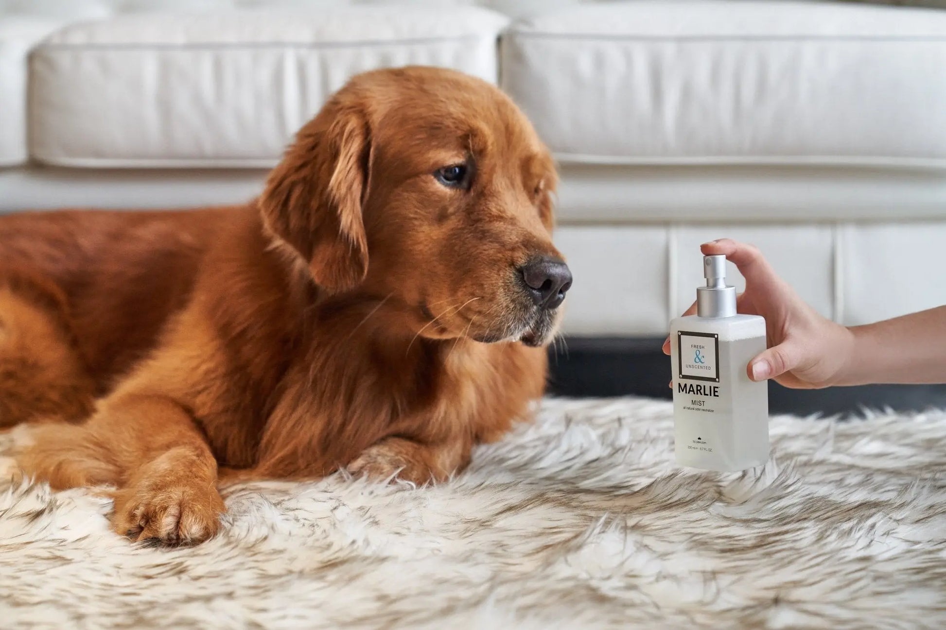 Marlie Mist Pet Odor Eliminator Spray with Essential Oils Paw.com