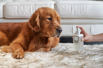 Marlie Mist Pet Odor Eliminator Spray with Essential Oils Paw.com