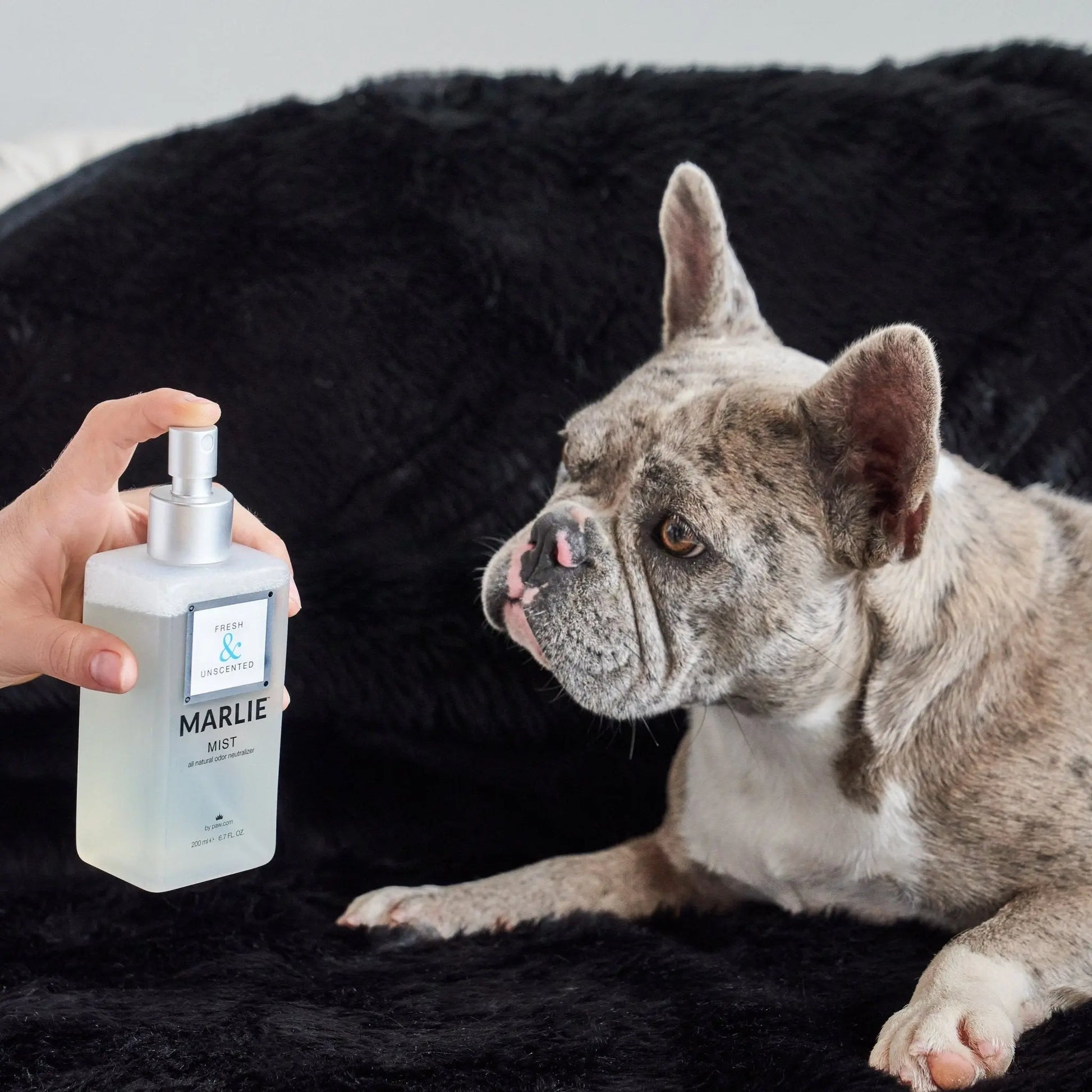 Marlie Mist Pet Odor Eliminator Spray with Essential Oils Paw.com