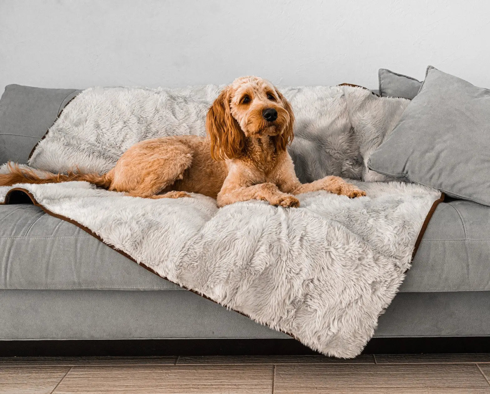 PupProtector™ Summer Short Fur Waterproof Throw Blanket - Grey Paw.com