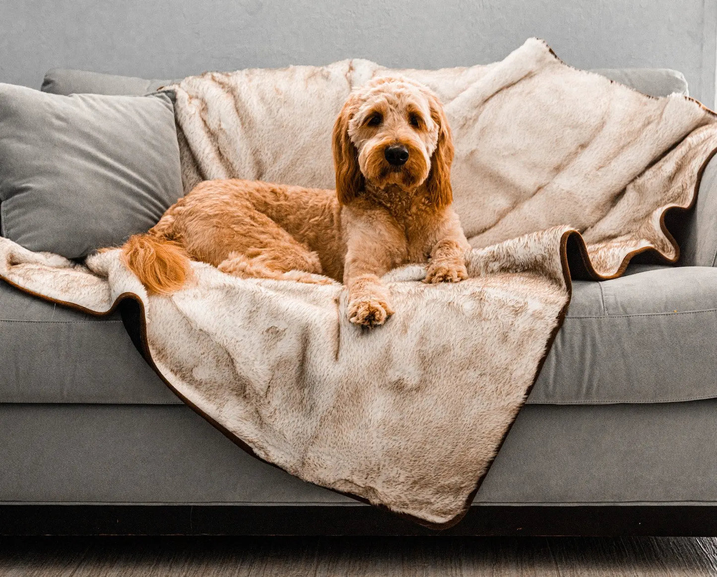 PupProtector™ Summer Short Fur Waterproof Throw Blanket - White with Brown Accents Paw.com