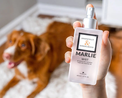 Marlie Mist Pet Odor Eliminator with Essential Oils (3-pack) Paw.com