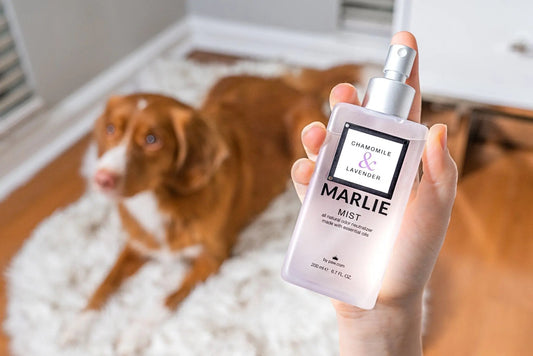 Marlie Mist Pet Odor Eliminator Spray with Essential Oils Paw.com