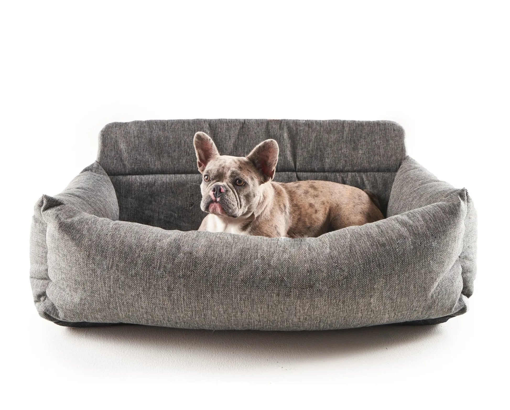 PupProtector™ Memory Foam Dog Car Bed Paw.com