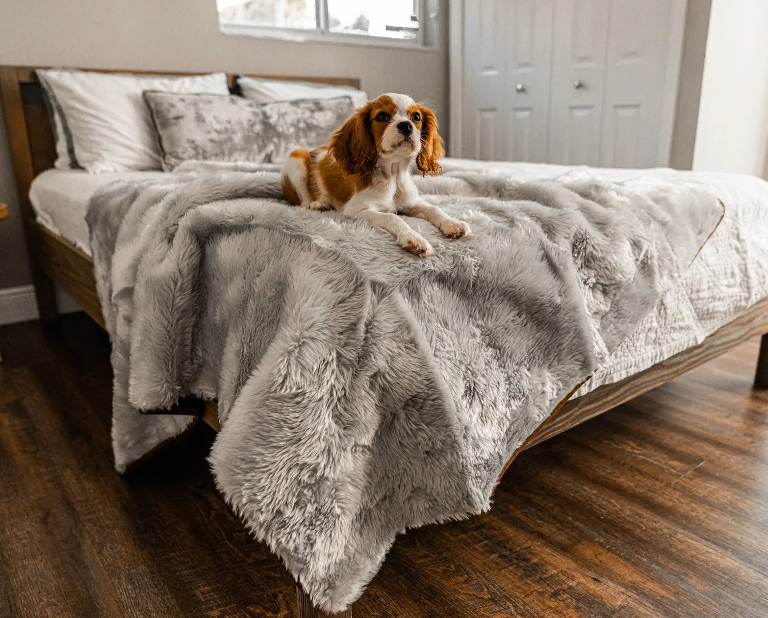 PupProtector™ Summer Short Fur Waterproof Throw Blanket - Grey Paw.com