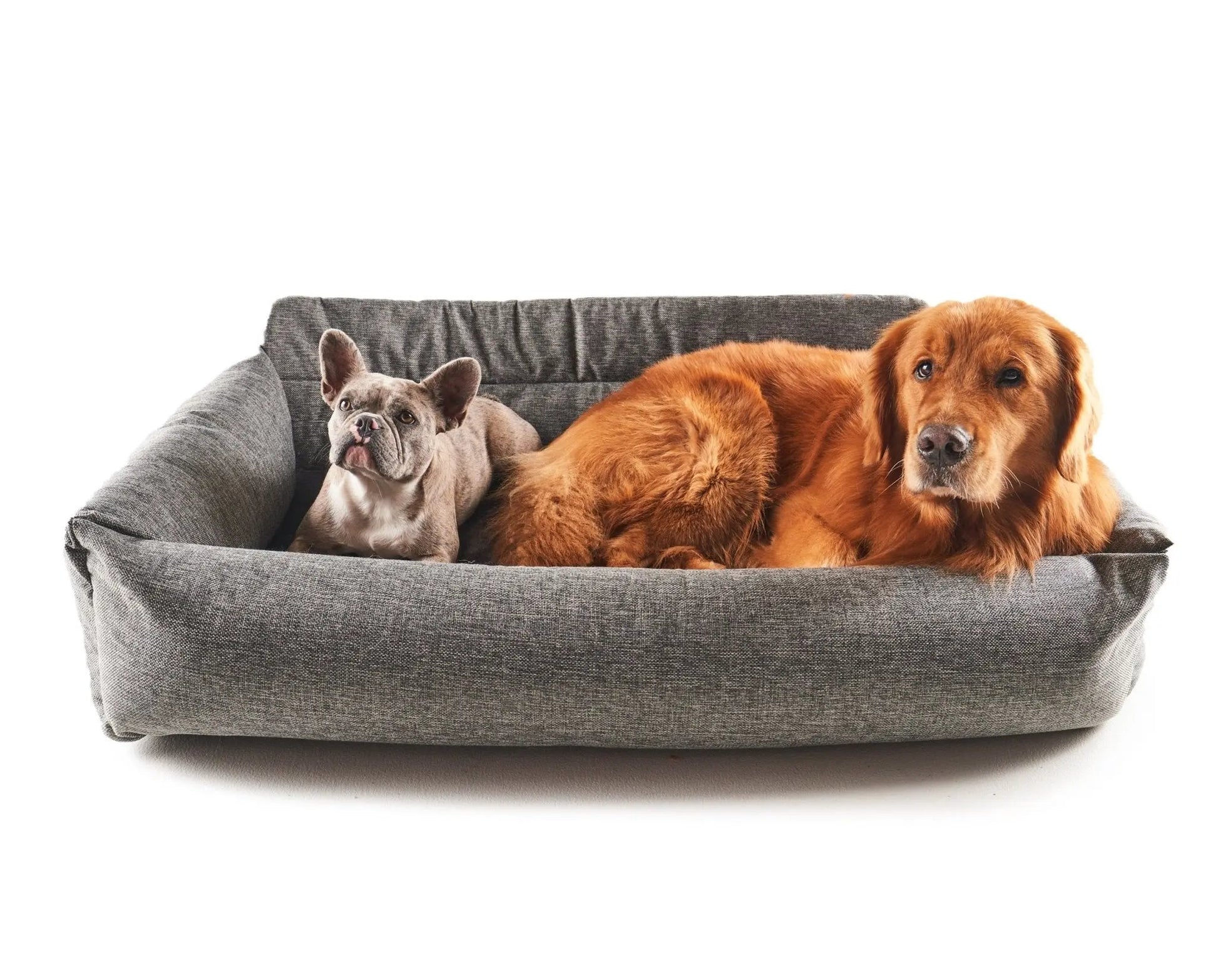 PupProtector™ Memory Foam Dog Car Bed Paw.com