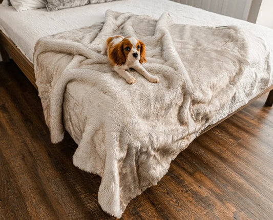 PupProtector™ Short Fur Waterproof Throw Blanket - White with Brown Accents Paw.com