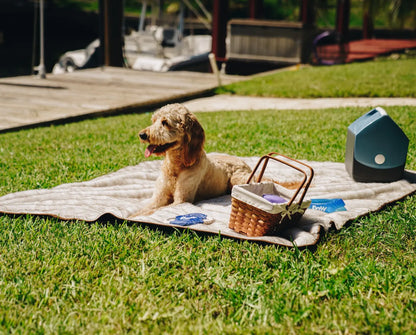 PupProtector™ Summer Short Fur Waterproof Throw Blanket - White with Brown Accents Paw.com