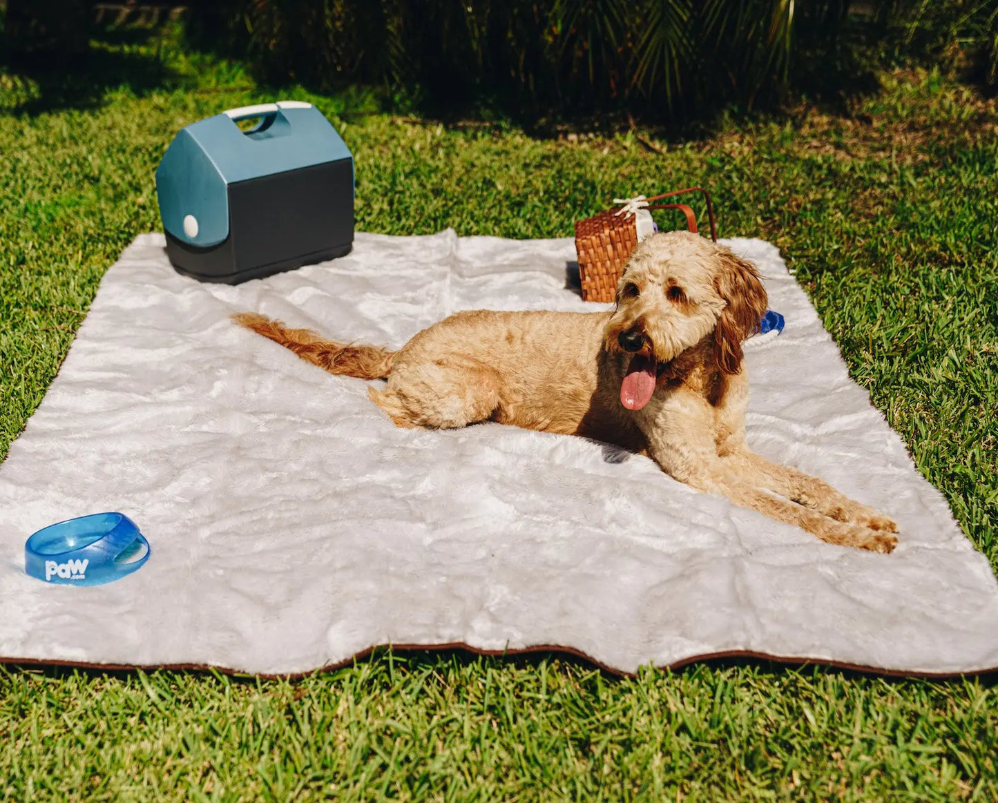PupProtector™ Summer Short Fur Waterproof Throw Blanket - Grey Paw.com