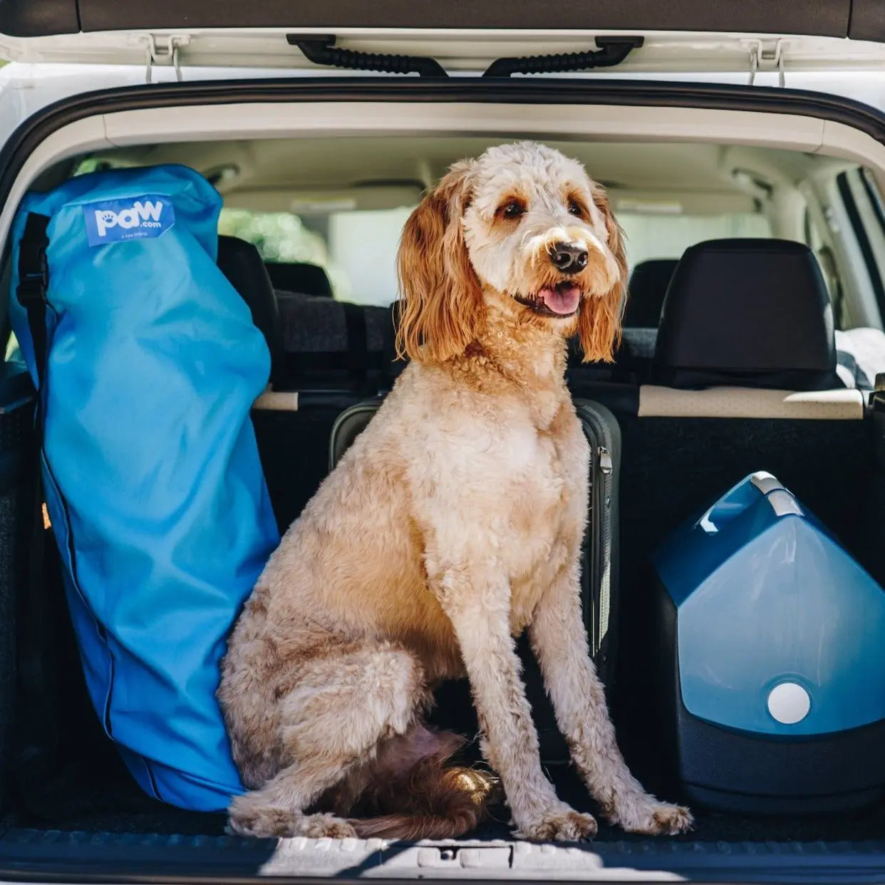 PupRug by Paw.com™ Portable Orthopedic Dog Bed - Grey Paw.com