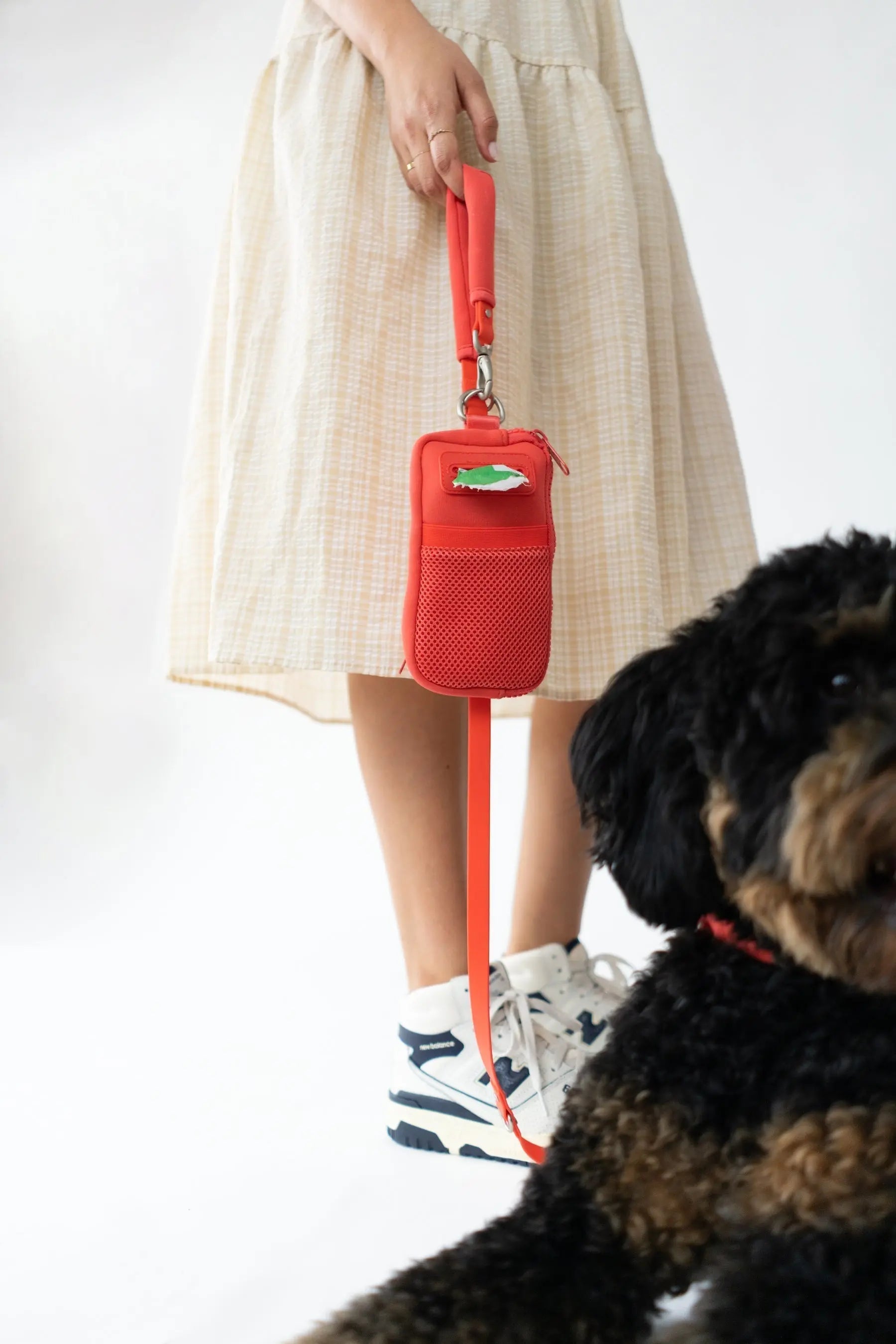 Neoprene Dog Walk Bag with Leash Springland Pets