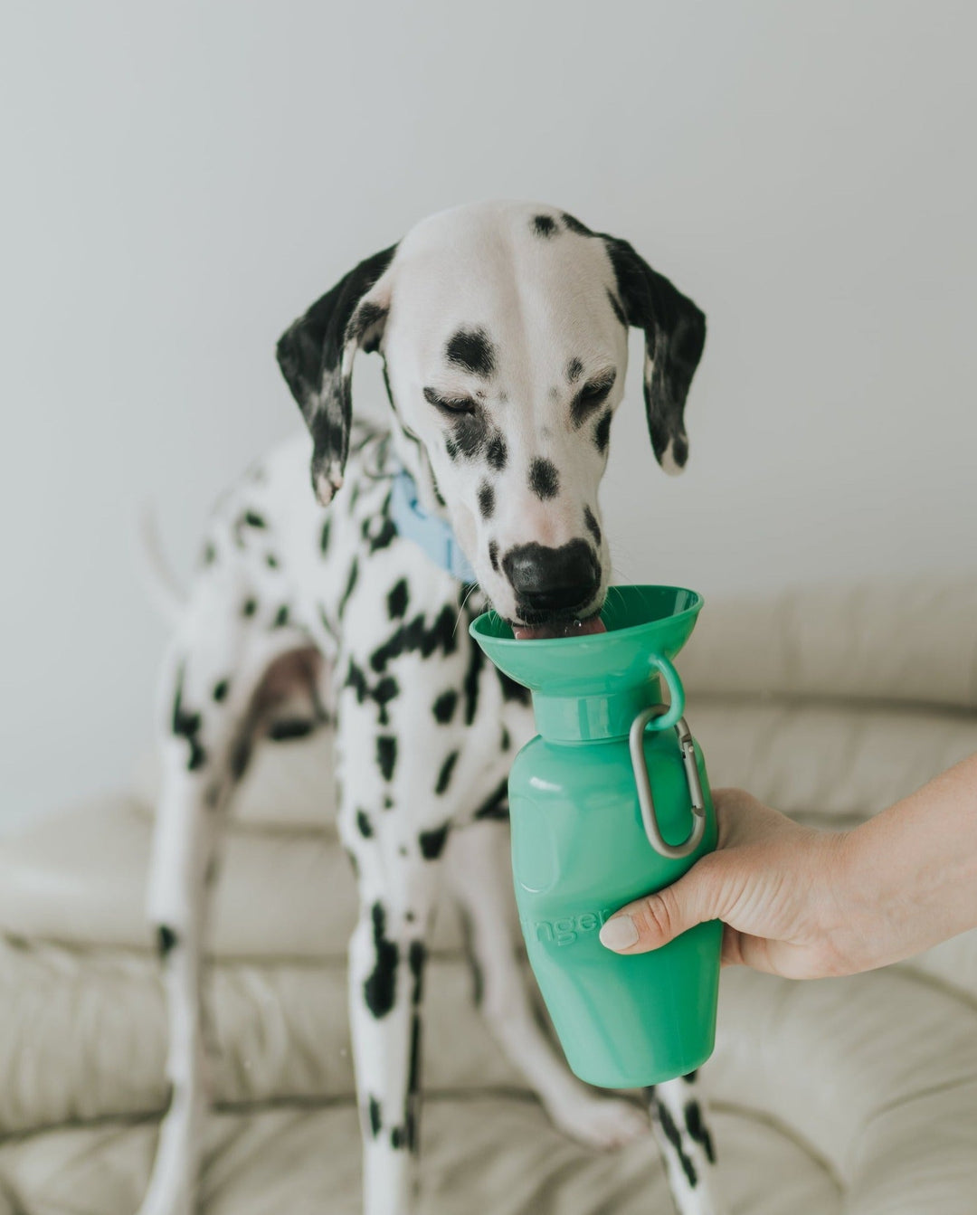 22oz Original Travel Dog Water Bottle