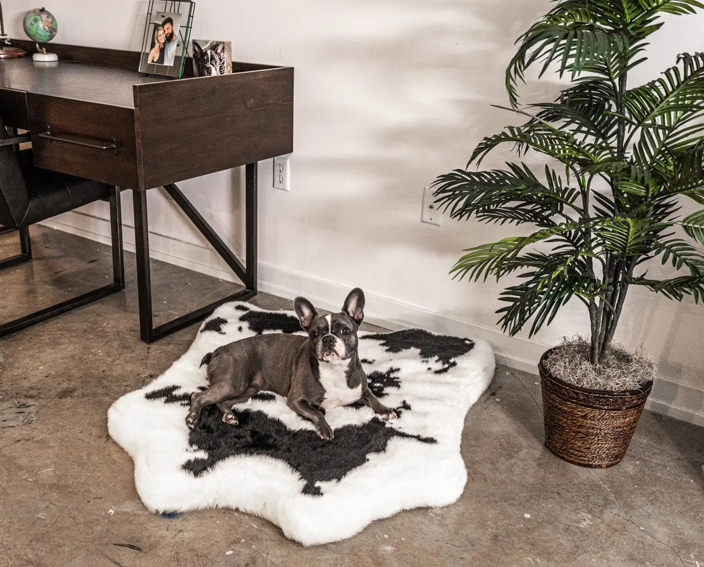 PupRug™ Animal Print Memory Foam Dog Bed - Black Faux Cowhide Paw.com