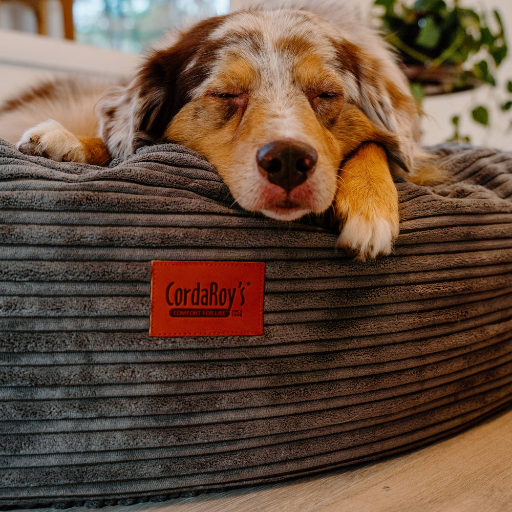 50 Inch Forever Dog Bed (Waterproof) - Terry Corduroy