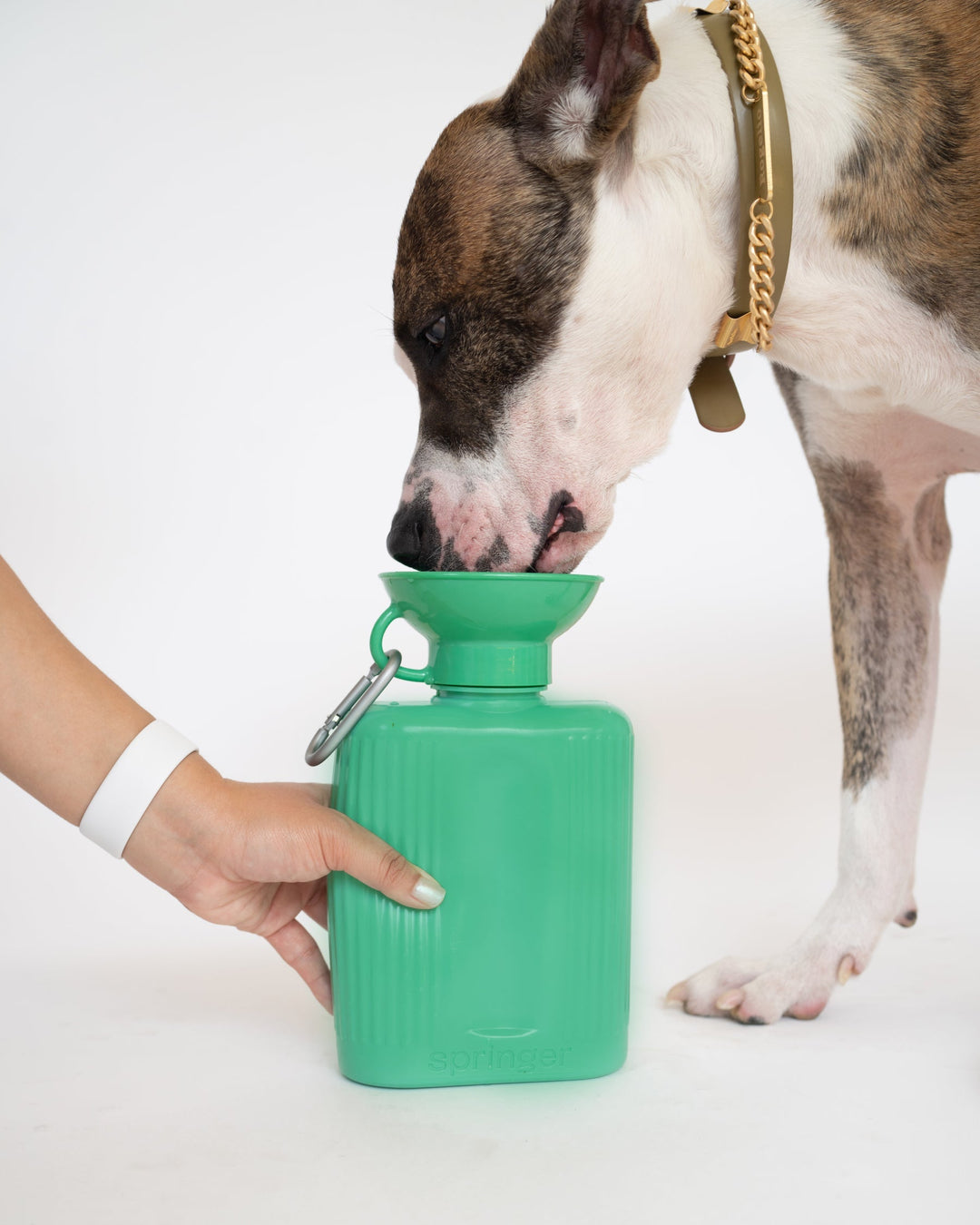 44oz Original Travel Dog Water Bottle