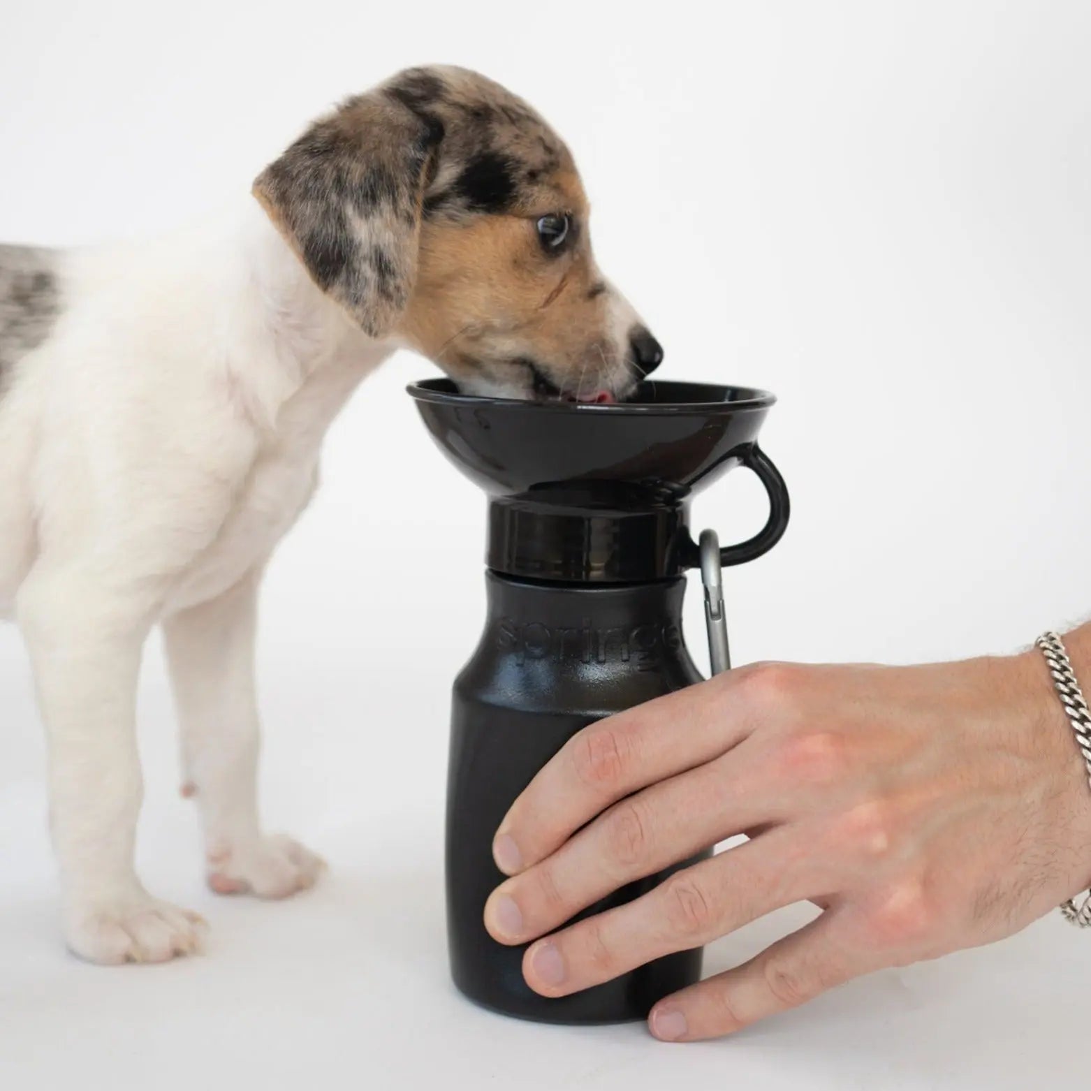 15oz Original Dog Travel Water Bottle Springland Pets