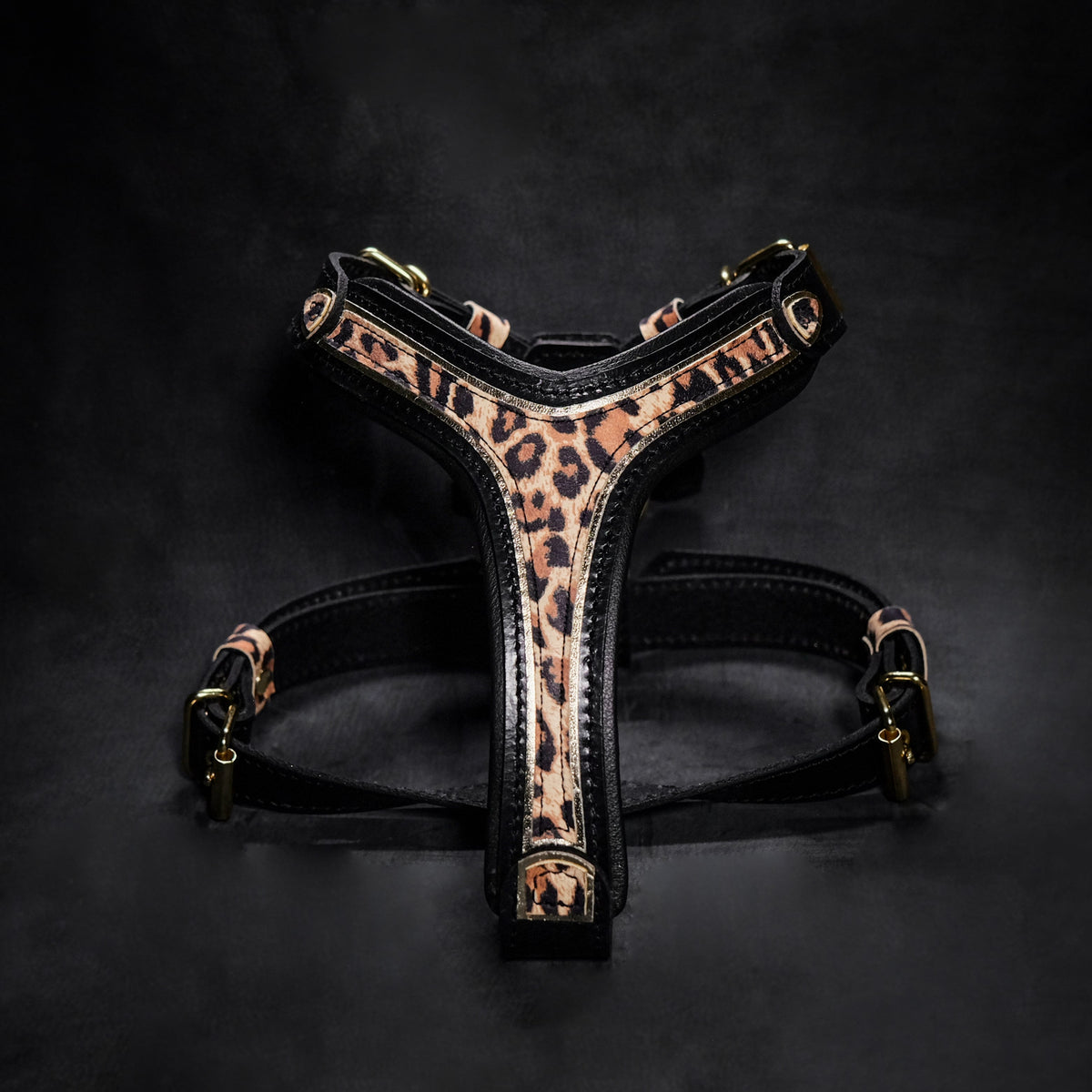 Bestia Leopard Leather Dog Harness – Small–Medium Dogs