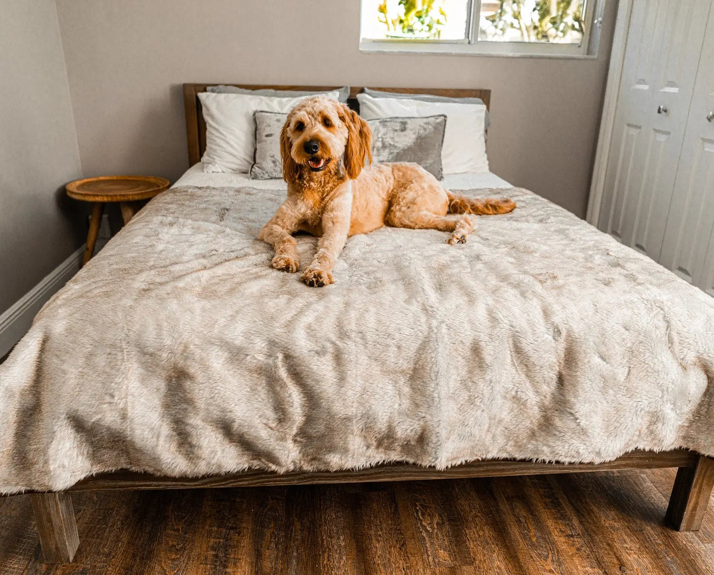 PupProtector™ Summer Short Fur Waterproof Throw Blanket - White with Brown Accents Paw.com