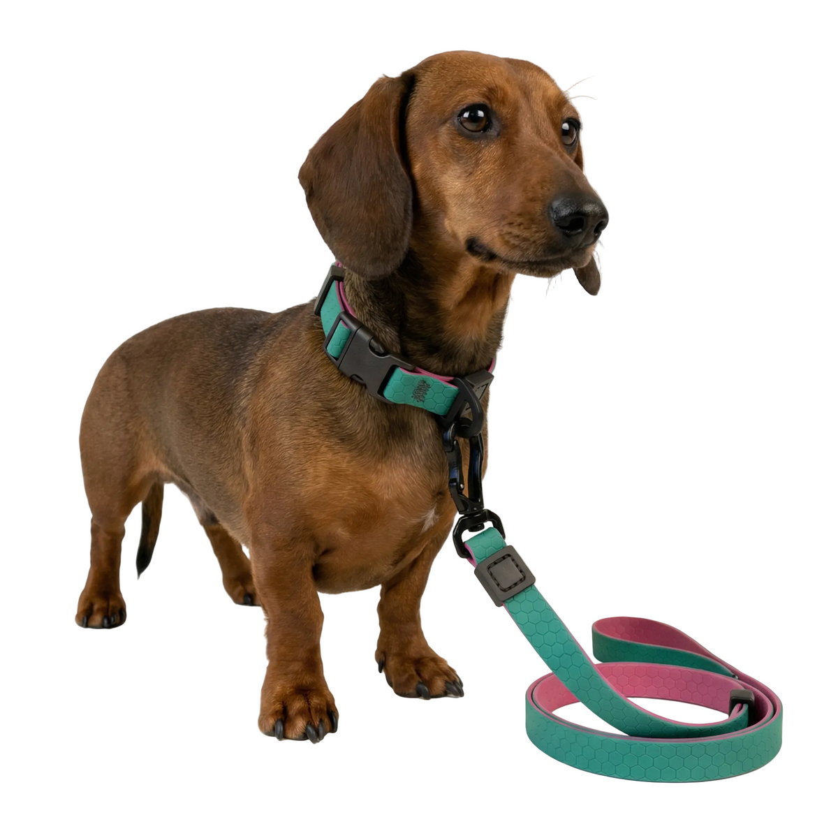 Hexagon Walk Set - Waterproof Collar & Leash Set for Small Dogs