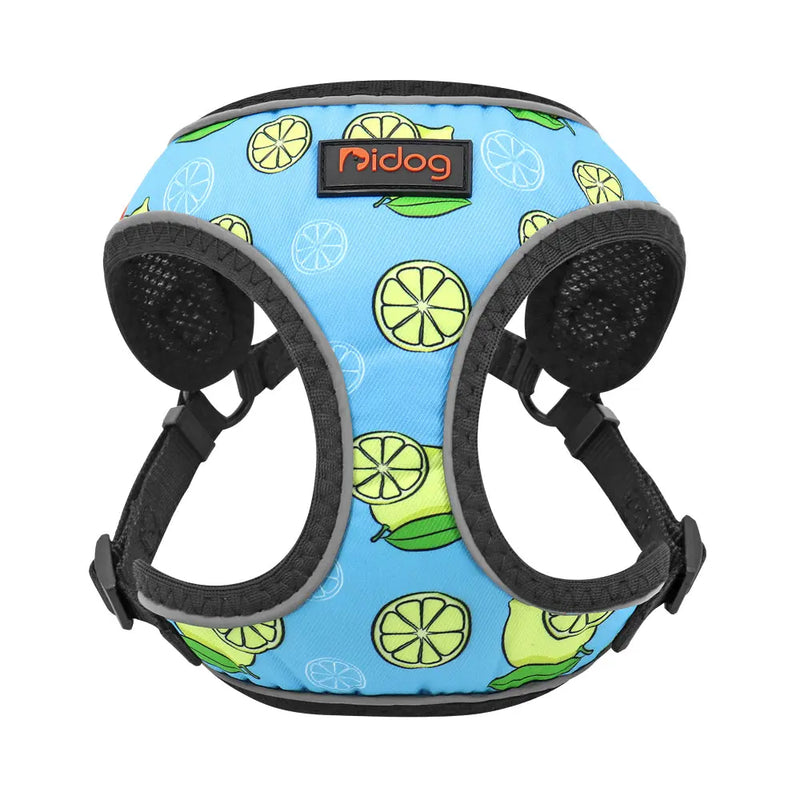 Dog Leash Vest