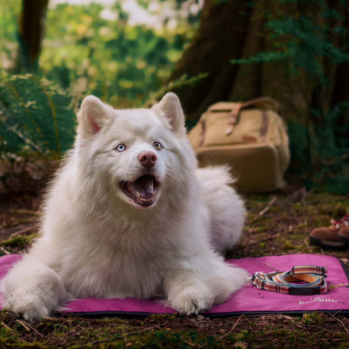 Non-Slip Settle Mat: Grip backing