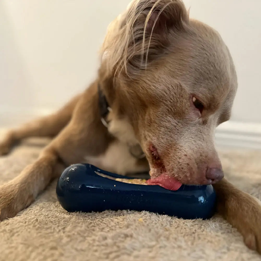 Freezstick - Indestructible Enrichment Chew Freezbone