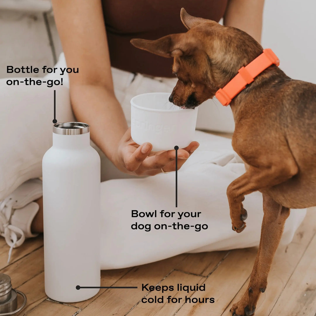 24oz Dog & Me Insulated Travel Dog Water Bottle